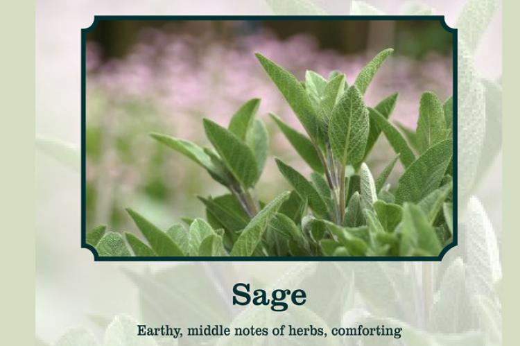 sage