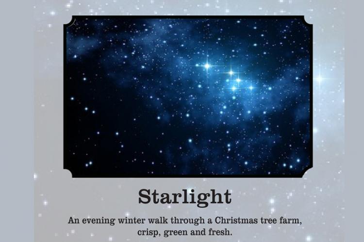 starlight