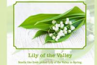 lily of the valley