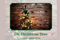 Oh Christmas tree scent