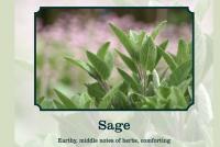 sage