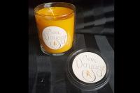 bon voyage candle